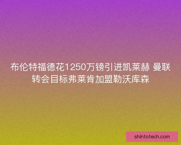 布伦特福德花1250万镑引进凯莱赫 曼联转会目标弗莱肯加盟勒沃库森